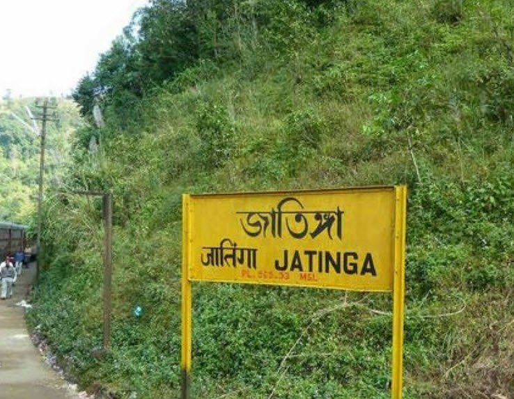 Jatinga Bird Watching Centre